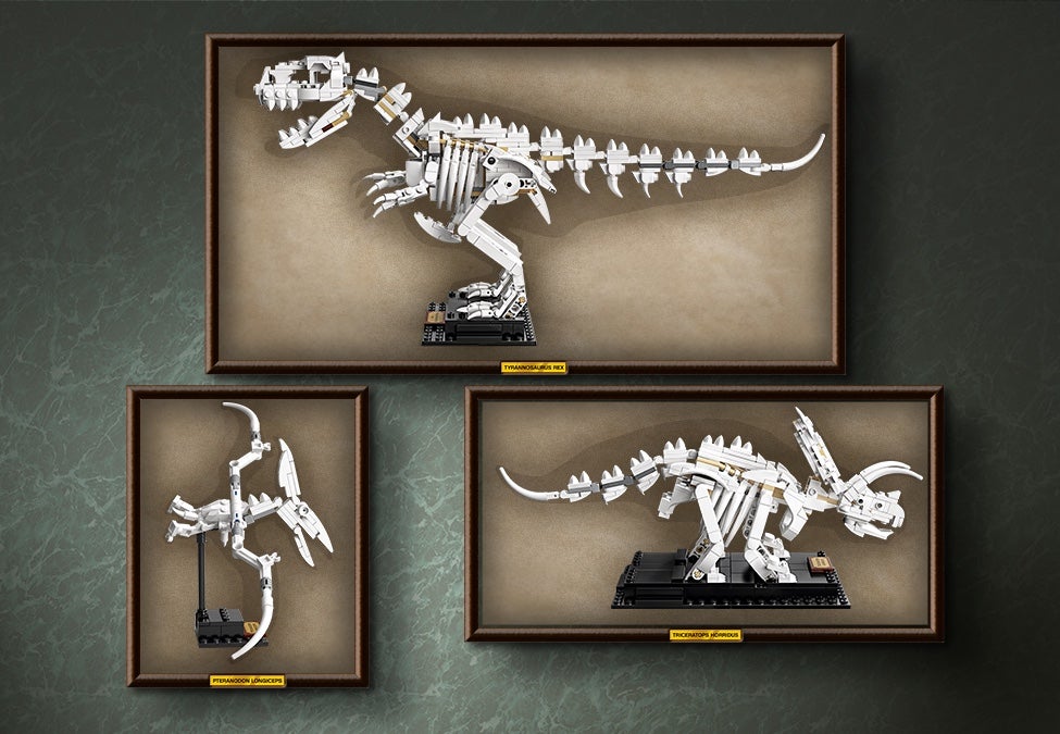 Lego Ideas fósiles Dinosaurio 910 piezas Kit de construcción 21320